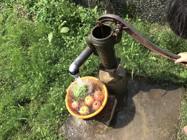 井戸水と野菜
